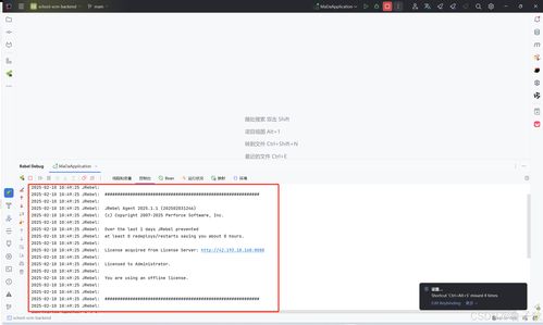 JRebel 插件激活與配置教程 高效開發的必備指南